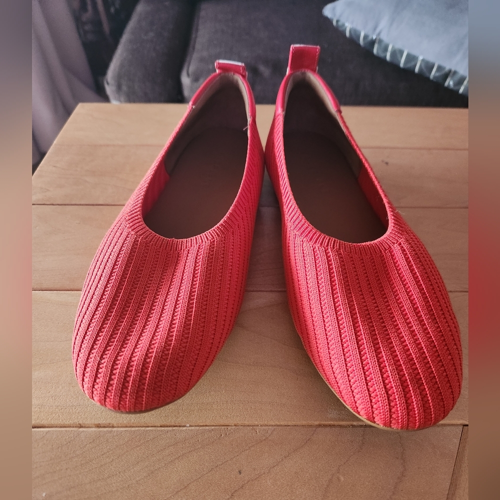 Everlane ballet flats